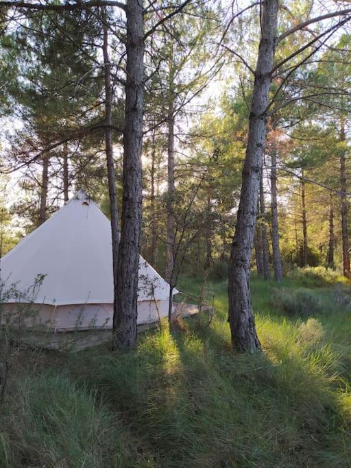 Forest Days Navés 외부 사진