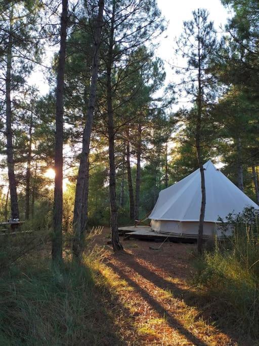Forest Days Navés 외부 사진